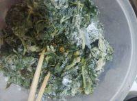 简单的蒸芹菜叶