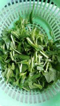 美味的小米青菜蛋花粥做法图解6)