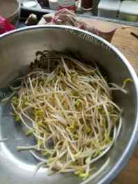 美味的炒黄豆芽做法图解1)