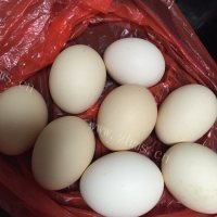 美味佳肴般的卤鸡蛋做法图解1)