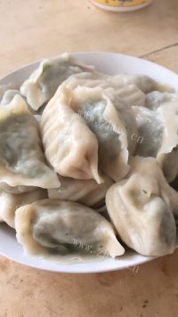 色泽鲜亮的芹菜猪肉饺子