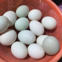 喷香的咸鸭蛋做法图解1)