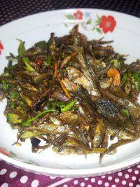 家常菜青椒炒小鱼干
