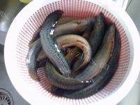 美味的豆腐泥鳅汤做法图解1)