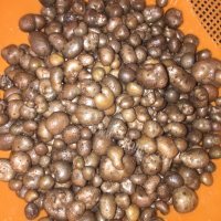 清蒸山药豆做法图解1)