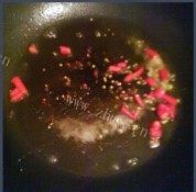 酸辣包菜做法图解3)