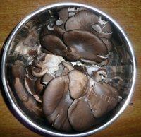 健康美味的蘑菇炒肉做法图解1)