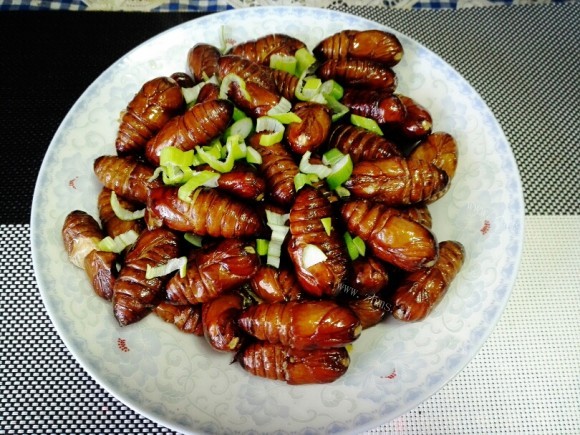 色味俱佳的炒蚕蛹