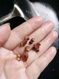 自制卤豆干做法图解3)