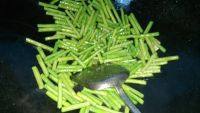 健康美食干煸豇豆做法图解4)