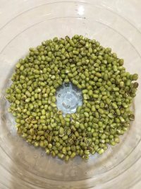 简单的淋豆芽做法图解1)