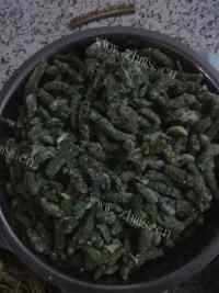 口感不错的蒸野菜
