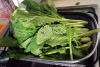 家常菜肉片炒小白菜做法图解1)