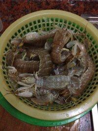 白灼皮皮虾做法图解3)