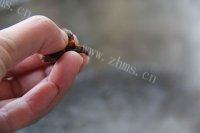 美味的水煮基围虾做法图解4)