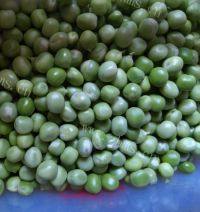 美味的香肠豌豆饭做法图解1)
