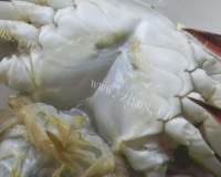 美味的清蒸螃蟹做法图解2)