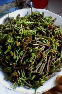 家常蕨菜炒肉丝