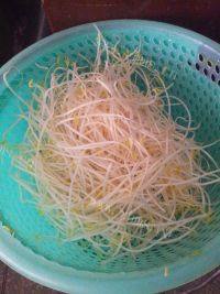 甘脆的清炒豆芽做法图解1)