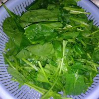 家常菜蒜泥菠菜做法图解1)