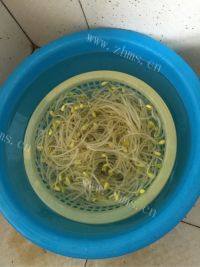 家常菜凉拌豆芽做法图解2)