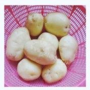 可口的土豆排骨汤做法图解2)