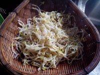 香醇的凉拌绿豆芽做法图解5)