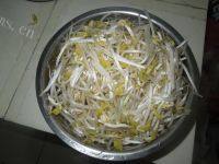 清爽的清炒豆芽做法图解1)