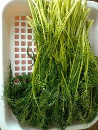 自己做的茴香鸡蛋馅饼做法图解2)