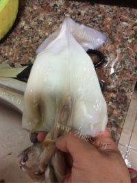 美味的爆炒鱿鱼做法图解2)
