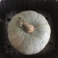 好喝的香葱南瓜汤做法图解1)