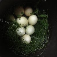 营养的地米菜煮鸡蛋的做法图解三