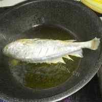 营养丰富的炖黄花鱼的做法图解三