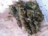 自己做的香椿芽鸡蛋饼做法图解2)