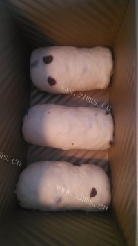 蔓越莓吐司做法图解12)
