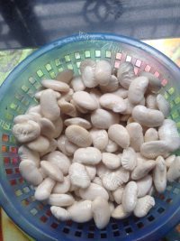 好吃的清炒白芸豆做法图解1)