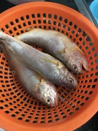 诱人的清蒸小黄鱼做法图解1)