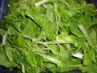 家常菜小白菜炒豆腐做法图解1)