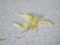 芦笋白玉菇做法图解4)