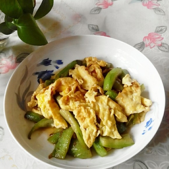 珍馐美味的丝瓜炒鸡蛋