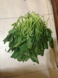 自制菠菜馅做法图解1)