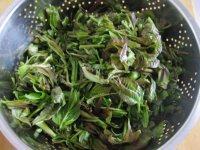绿色食物之香椿炒鸡蛋做法图解1)