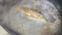 色泽鲜亮的鲫鱼豆腐汤做法图解4)