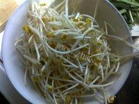 诱人的豆芽炒韭菜做法图解1)