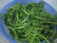 回味的清炒茼蒿做法图解1)