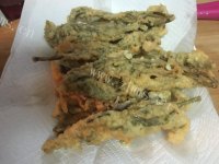 美味的炸香椿鱼