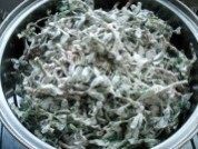 简单的蒸马齿苋做法图解4)