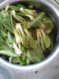 家常菜素炒小白菜做法图解1)
