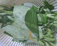 家常小菜蒜蓉豆角叶做法图解1)