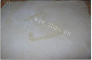 口感极佳的火腿饼做法图解3)